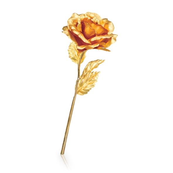 Gold Rose